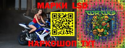 крисы Северобайкальск