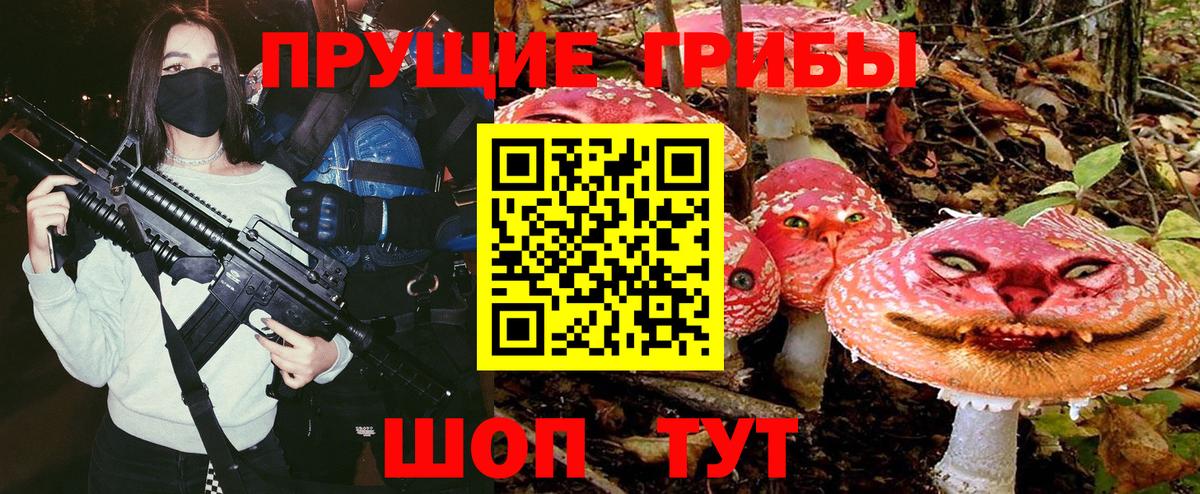 Псилоцибиновые грибы прущие грибы  Вход с VPN  Саров  Галлюциногенные грибы мицелий 