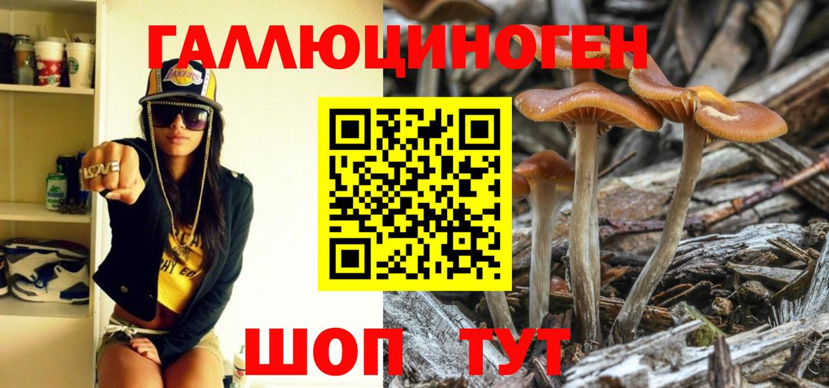 Псилоцибиновые грибы Cubensis Саров