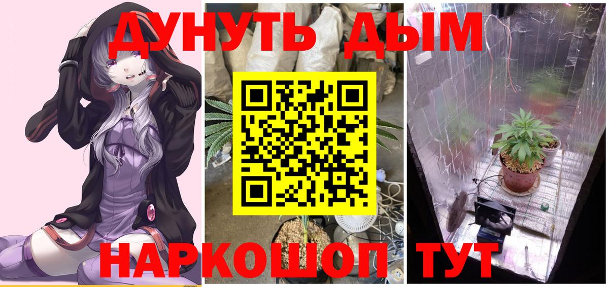 МАРИХУАНА White Widow  Вход с VPN  Саров  Каннабис VHQ  МАРИХУАНА тримм  Каннабис семена 